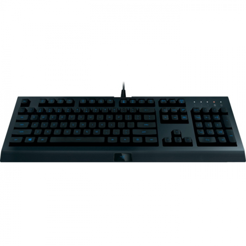 Игровая клавиатура Razer Cynosa Lite Wired, RGB, USB, Black (RZ03-02741500-R3R1) фото 2