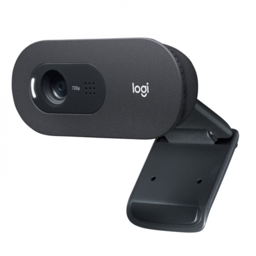 Веб-камера Logitech C505e 1280x720, USB 2m, Black (960-001372) фото 2