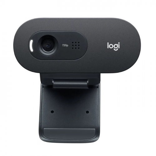 Веб-камера Logitech C505 HD, 1280 x 720, USB, 2m (960-001364)