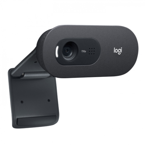 Веб-камера Logitech C505e 1280x720, USB 2m, Black (960-001372) фото 3