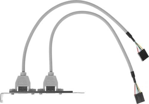 Адаптер USB Bracket 2xUSB2.0 Bulk (ASIA BRACKET USB 2.0 2 PORT)