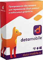 версия Стандарт LifeTime