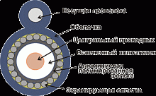 Кабель коаксиальный RG11U 75Ом CCS оплетка AL96*0.16мм PE с тросом 305м -RG11-CS96/ 3-OTR (TWT-RG11-CS96/3-OTR)