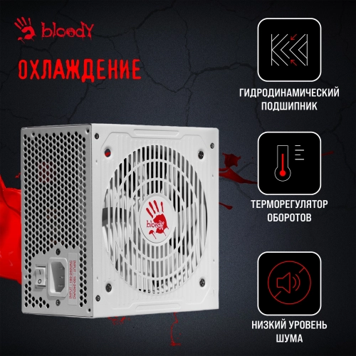 Блок питания Bloody ATX 750W BD-PS750G 80+ gold (20+4pin) APFC 120mm fan 6xSATA Cab Manag RTL (BD-PS750G-MW) фото 20