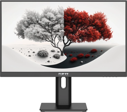 Монитор RDW2401K 1920x1080(FHD) IPS 100Hz 4мс 178°/ 178 250cd-300cd VGA HDMI DP наклон, внутренний БП, Динамики, черный, VESA 100*100, реестр МПТ (2401K/F00B0100V2A1H)