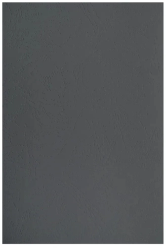 Обложки для переплёта Silwerhof Daily A4 230г/ м2 черный (100шт) (2090823) (2090823#MLN)