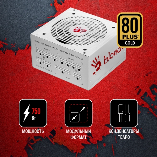 Блок питания Bloody ATX 750W BD-PS750G 80+ gold (20+4pin) APFC 120mm fan 6xSATA Cab Manag RTL (BD-PS750G-MW) фото 15