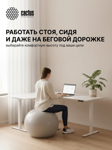 Подстолье Cactus CS-EDXLF-WT электропривод каркас белый 140x120x60см фото 17