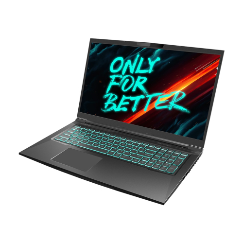 Ноутбук Maibenben X668 Core i7-12700H/ 32GB/ 1Tb SSD/ 17.3″ QHD 165Hz 100%sRGB/ NV RTX 3070 8Gb/ Linux (X668QSJELBRE0) фото 2