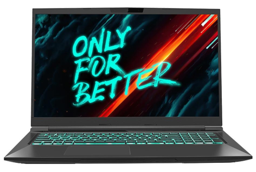 Ноутбук Maibenben X668 Core i7-12700H/ 16GB/ 1Tb SSD/ 17.3″ QHD 165Hz 100%sRGB/ NV RTX 3070 8Gb/ Linux (X668QSGELBRE0)