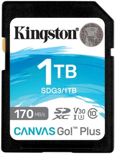Флеш карта SDXC 1TB Kingston SDG3/ 1TB Canvas Go! Plus w/ o adapter (SDG3/1TB)