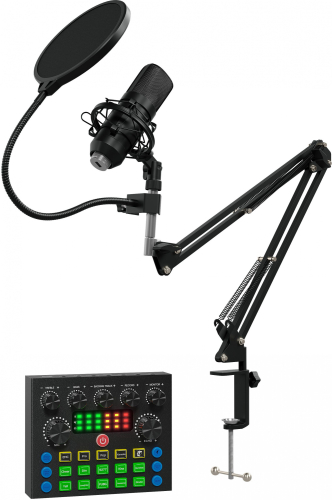 Микрофон проводной Оклик SM-600G 2.5м черный (1796784)