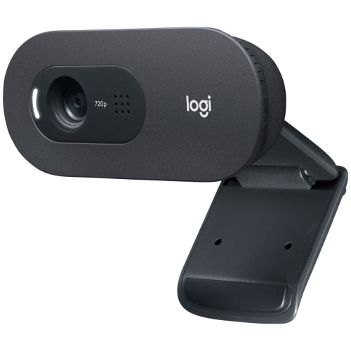 Веб-камера Logitech C505e HD (L960-001372)