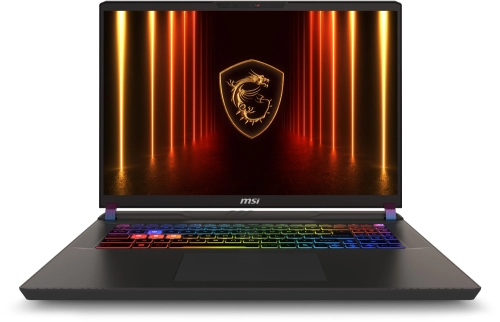 Ноутбук MSI Vector 17 HX A2XWJG (9S7-17S372-099) Ноутбук MSI Vector 17 HX A2XWJG Ultra9 275HX 17