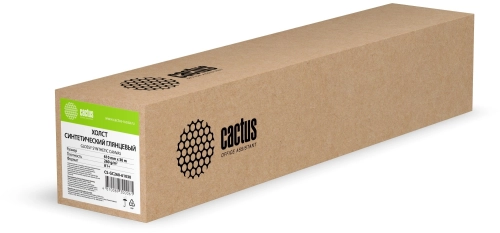 Холст Cactus CS-GC260-61030 24