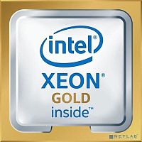 CPU Intel Xeon Gold 6226R OEM (CD8069504449000SRGZC)