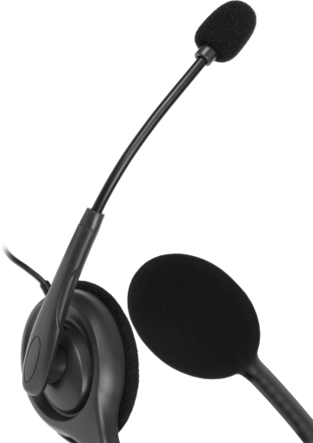 Гарнитура/ Logitech Headset H111 Stereo (981-000594) фото 2