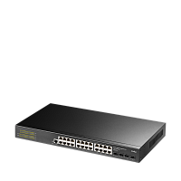 Коммутатор/ 24-Port Layer 2 Managed Gigabit Switch with 4 Gigabit SFP Slots (GS2024S2)