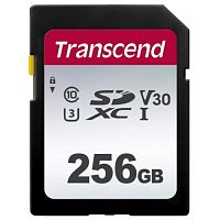 Эскиз Карта памяти SD 256GB Transcend (TS256GSDC300S)