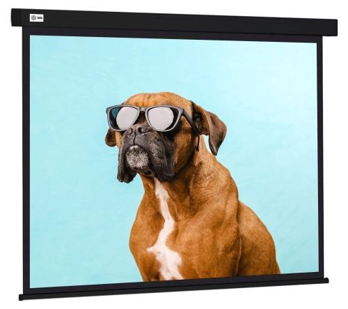 Экран Cactus 120 183x244см Wallscreen CS-PSW-183X244-BK 4:3 настенно-потолочный рулонный черный