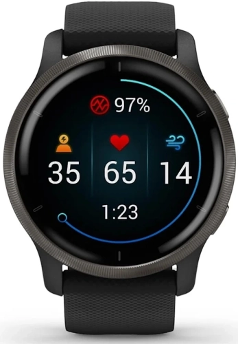 Смарт-часы Garmin Venu 2 33мм 1.3