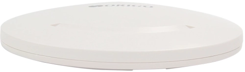 Точка доступа/ Беспроводная точка доступа N300, 2,4ГГц, 100Base-TX WAN PoE, 100Base-TX LAN (OAP300FC/A1A) фото 2