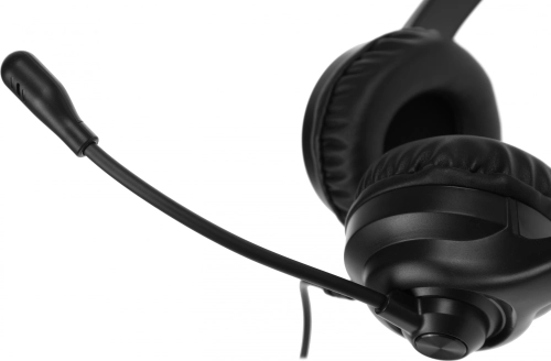 Наушники с микрофоном A4Tech HU-8 черный 2м накладные USB оголовье (HU-8#MLN) фото 2