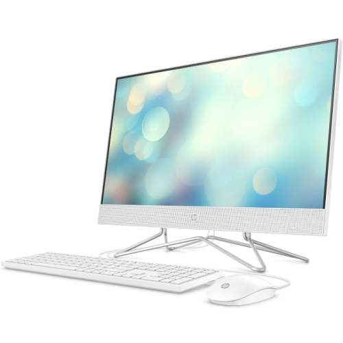 Моноблок HP AIO 24-df1007ur 23.8
