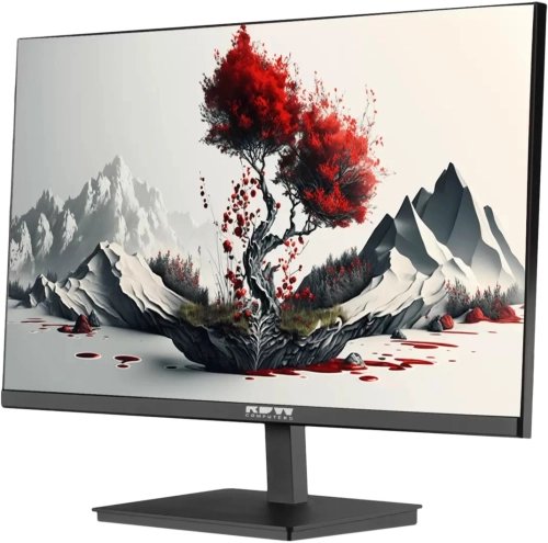 Монитор RDW2401K 1920x1080(FHD) IPS 100Hz 4мс 178°/ 178 300cd VGA HDMI DP Рег. по высоте, Портретный режим, Поворот вокруг своей оси(лево/ право), Наклон, внутренний БП, Динамики, черный, VESA 100*100, МПТ (2401K/F00B3100V2A1H)