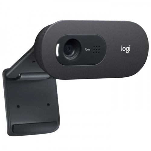 Веб-камера Logitech C505 HD, 1280 x 720, USB, 2m (960-001364) фото 3