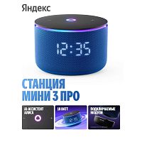 Умная колонка Яндекс Станция Мини 3 Про с Алисой, Zigbee, серый, YNDX-00059BLU